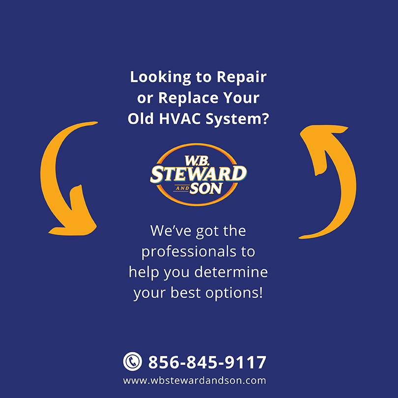 wbsteward_07242024 - 9
